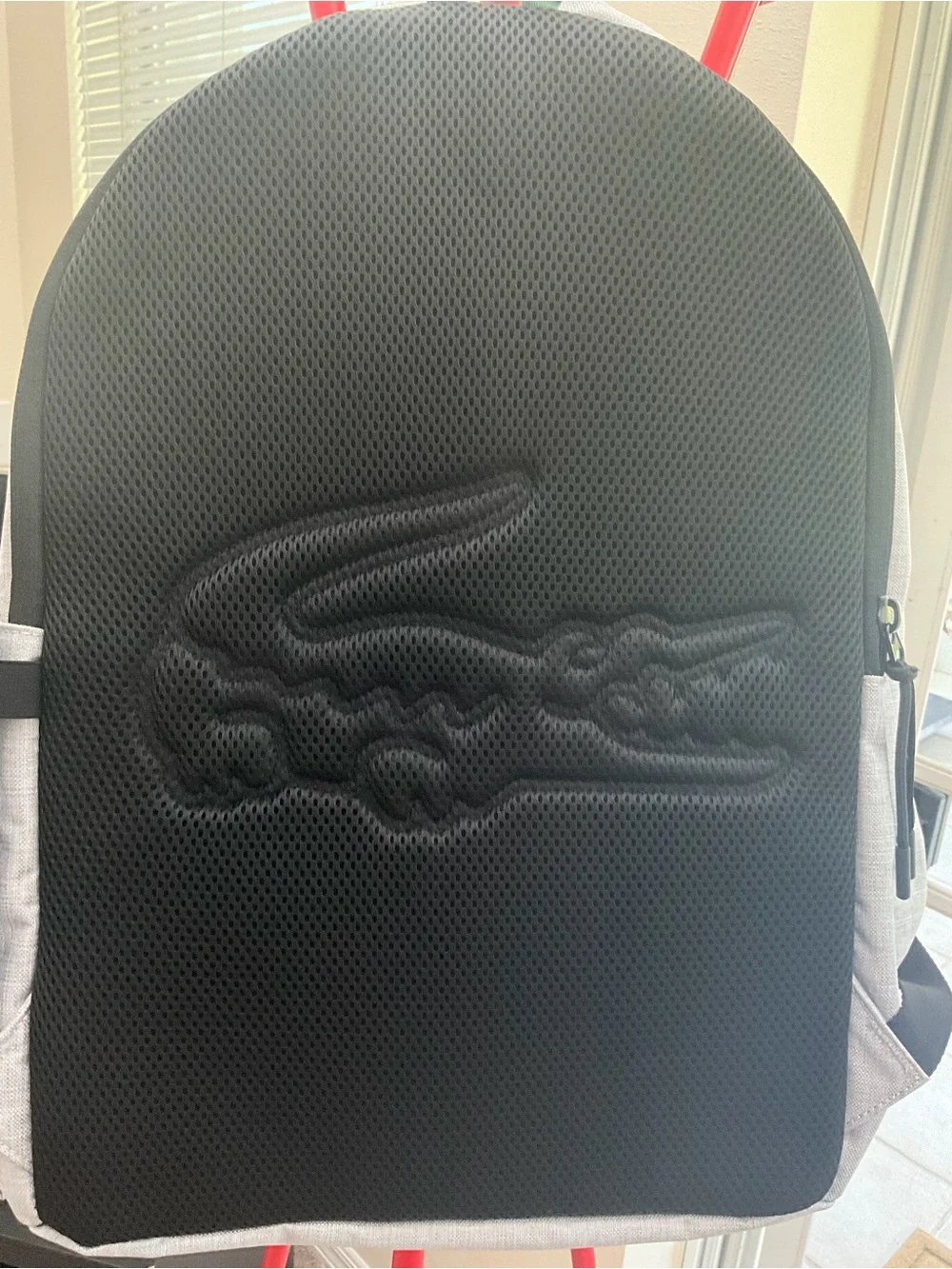 Lacoste stylish backpack